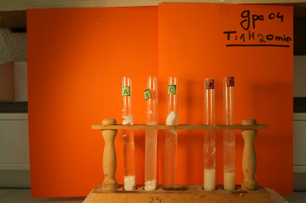 gal/LES_CINQUIEMES/ACTIVITE DIGESTION IN VITRO/Groupe_04/Groupe04_T_01h20min/Groupe04_T_01h_20min_9.JPG